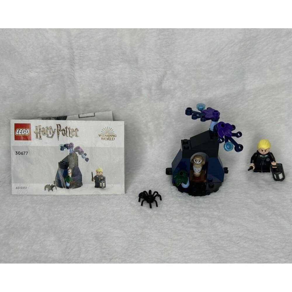 LEGO Harry Potter BUNDLE Includes 30677 Complete and Bag of Parts and Pieces